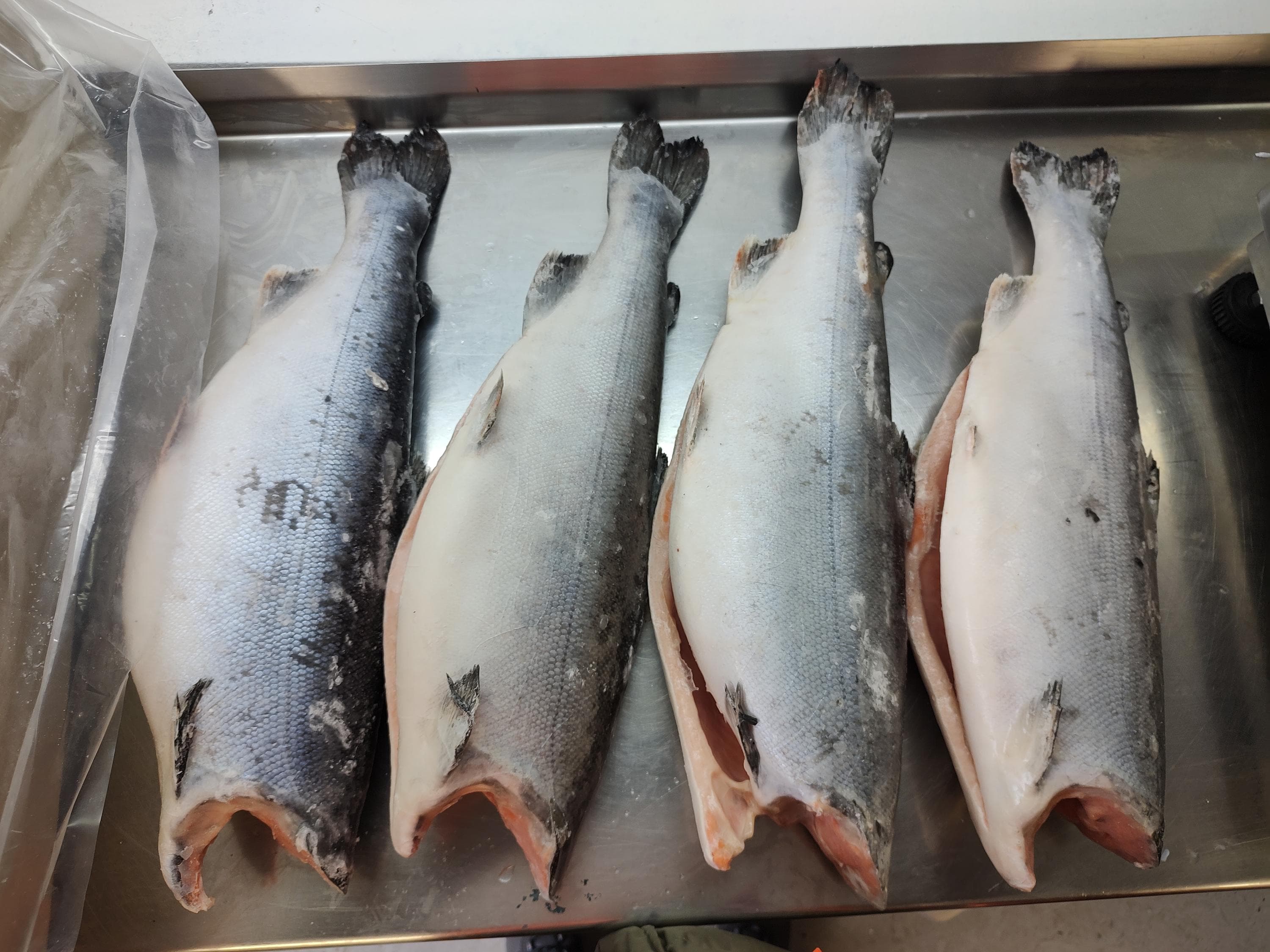 Texture and Freshness