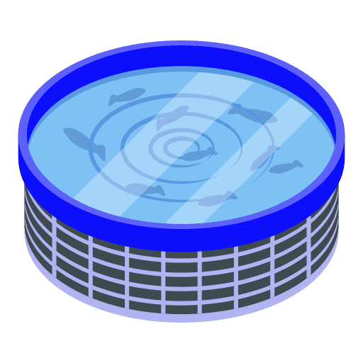 Fry Stage and Smoltification